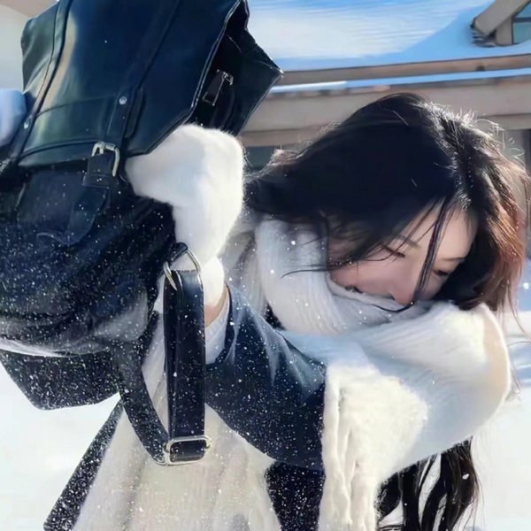片警宝音